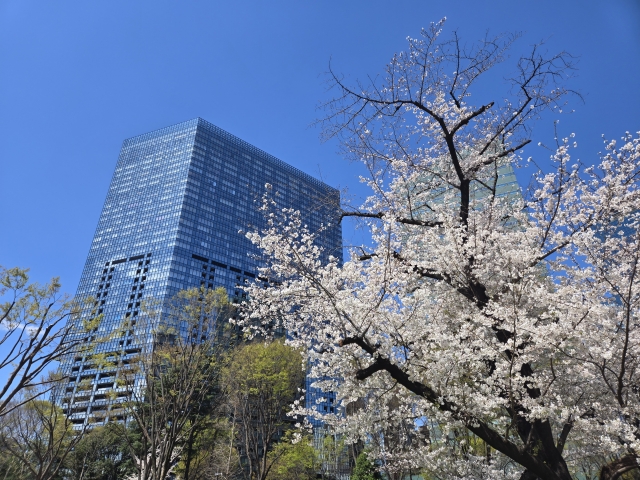 株式会社フォーム桜ZEET